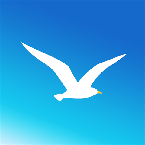 海鸥影视app官网